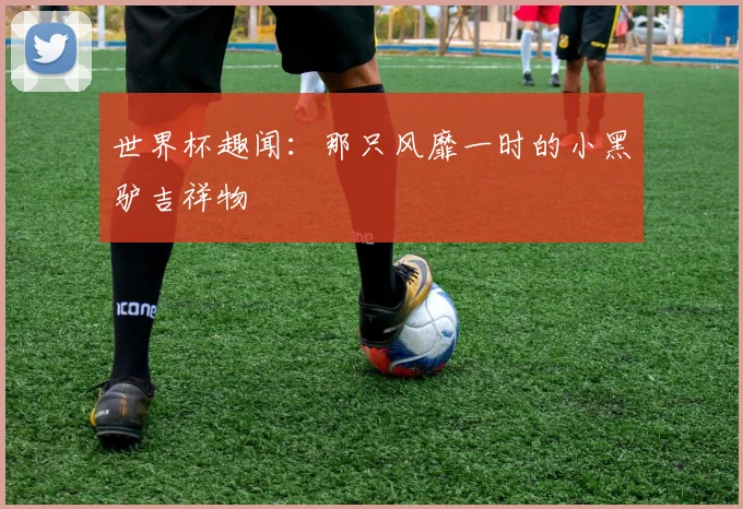 世界杯趣闻：那只风靡一时的小黑驴吉祥物