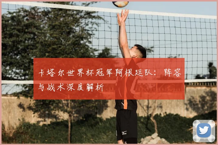 卡塔尔世界杯冠军阿根廷队：阵容与战术深度解析