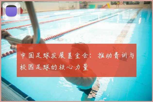 中国足球发展基金会：推动青训与校园足球的核心力量