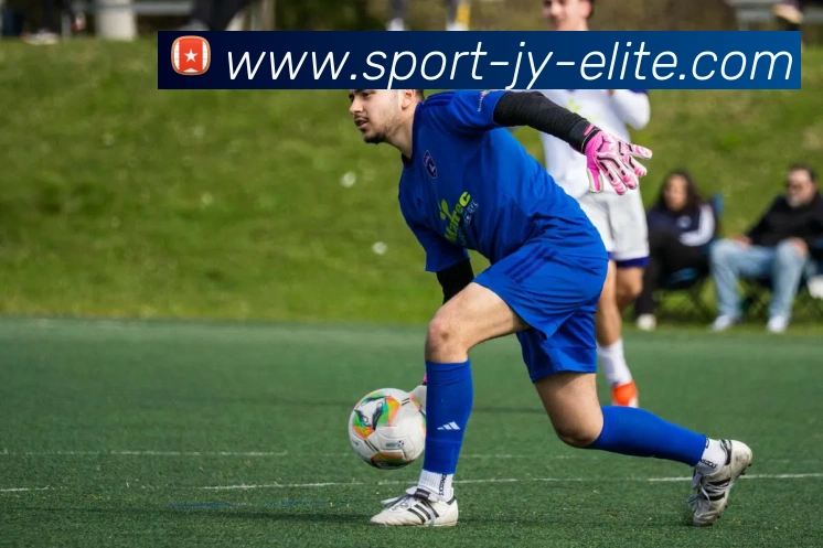 体育数据展示